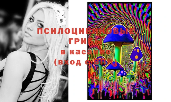 марки lsd Верхнеуральск