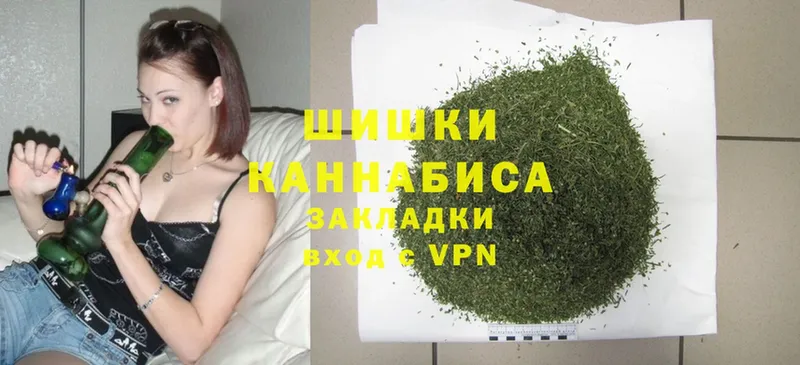 Бошки марихуана Amnesia  как найти   Димитровград 